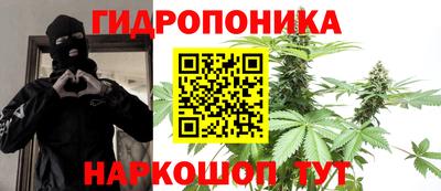 каннабис Будённовск